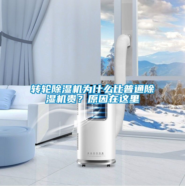 转轮香蕉福利视频机为什么比普通香蕉福利视频机贵？原因在这里