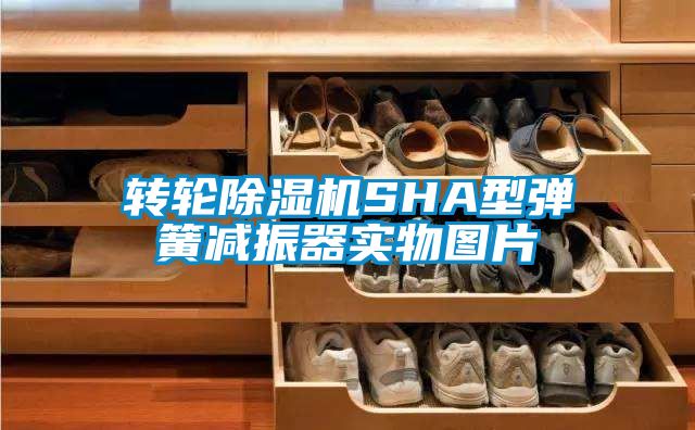转轮香蕉福利视频机SHA型弹簧减振器实物图片