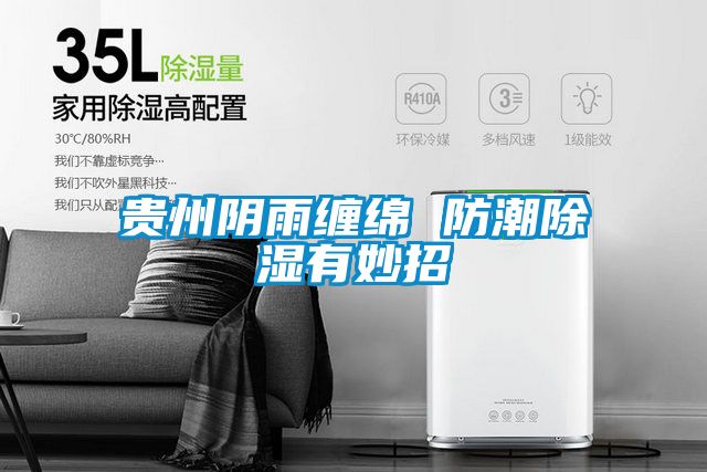 贵州阴雨缠绵 防潮香蕉福利视频有妙招