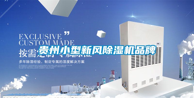 贵州小型新风香蕉福利视频机品牌