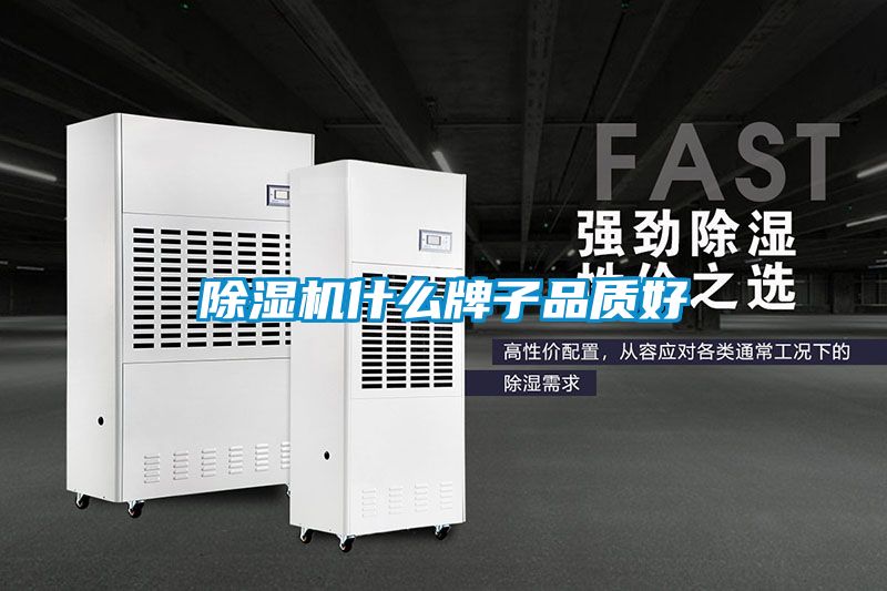 香蕉福利视频机什么牌子品质好