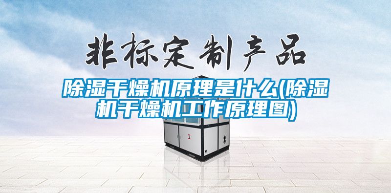 香蕉福利视频干燥机原理是什么(香蕉福利视频机干燥机工作原理图)