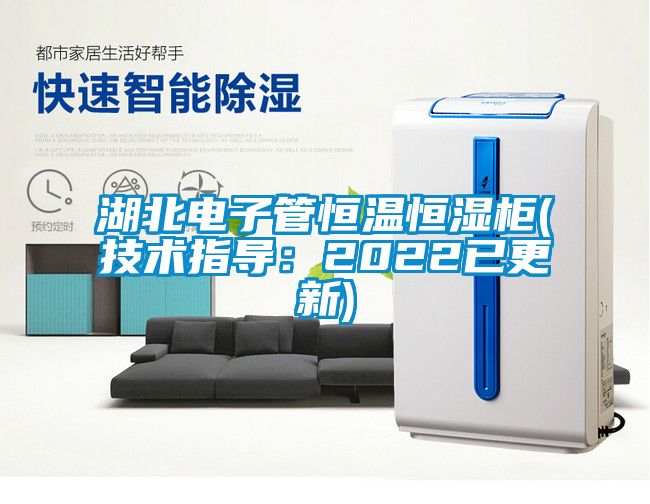 湖北电子管恒温恒湿柜(技术指导：2022已更新)