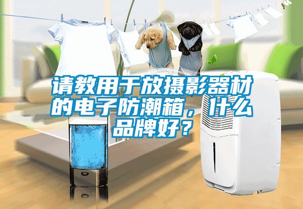 请教用于放摄影器材的电子防潮箱，什么品牌好？