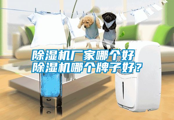 香蕉福利视频机厂家哪个好 香蕉福利视频机哪个牌子好？
