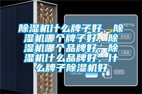 香蕉福利视频机什么牌子好，香蕉福利视频机哪个牌子好，香蕉福利视频机哪个品牌好，香蕉福利视频机什么品牌好，什么牌子香蕉福利视频机好