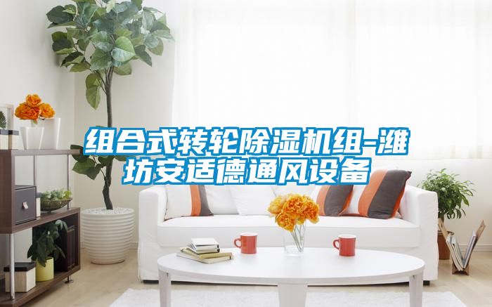 组合式转轮香蕉福利视频机组-潍坊安适德通风设备