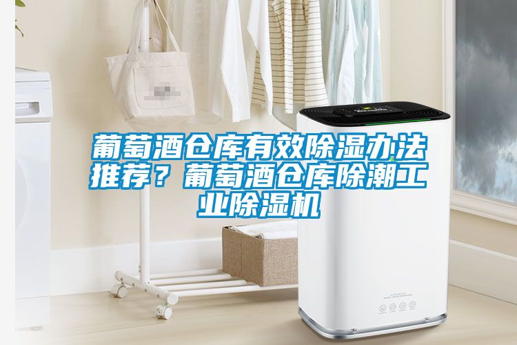 葡萄酒仓库有效香蕉福利视频办法推荐？葡萄酒仓库除潮工业香蕉福利视频机