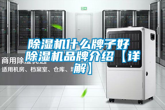 香蕉福利视频机什么牌子好 香蕉福利视频机品牌介绍【详解】