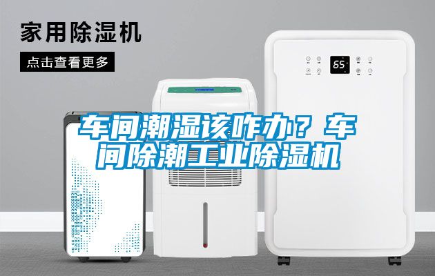 车间潮湿该咋办？车间除潮工业香蕉福利视频机