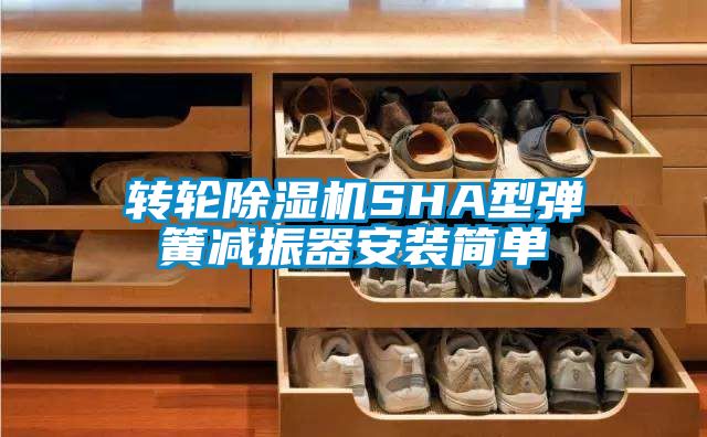 转轮香蕉福利视频机SHA型弹簧减振器安装简单