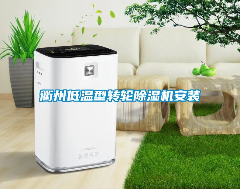 衢州低温型转轮香蕉福利视频机安装