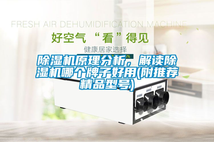 香蕉福利视频机原理分析，解读香蕉福利视频机哪个牌子好用(附推荐精品型号)