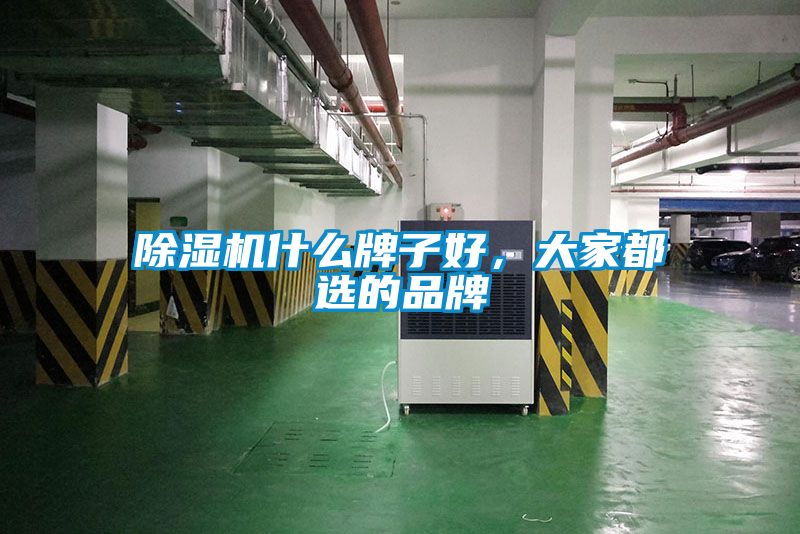 香蕉福利视频机什么牌子好，大家都选的品牌