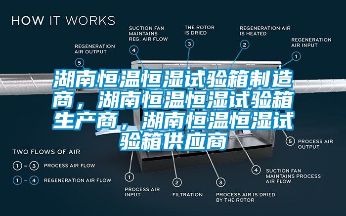 湖南恒温恒湿试验箱制造商，湖南恒温恒湿试验箱生产商，湖南恒温恒湿试验箱供应商