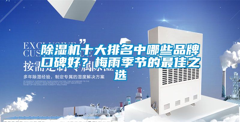 香蕉福利视频机十大排名中哪些品牌口碑好？梅雨季节的最佳之选