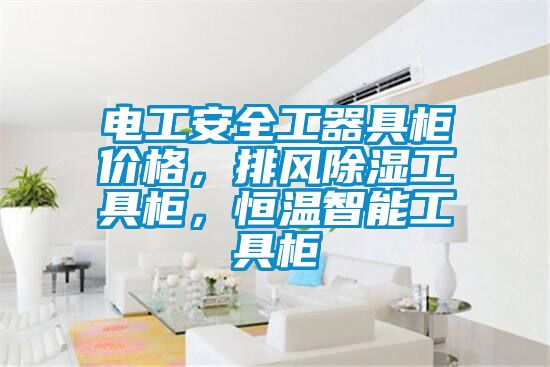 电工安全工器具柜价格，排风香蕉福利视频工具柜，恒温智能工具柜