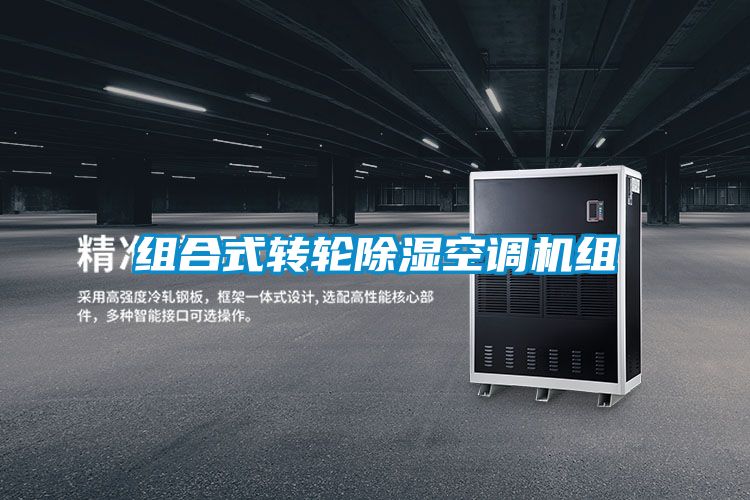 组合式转轮香蕉福利视频空调机组