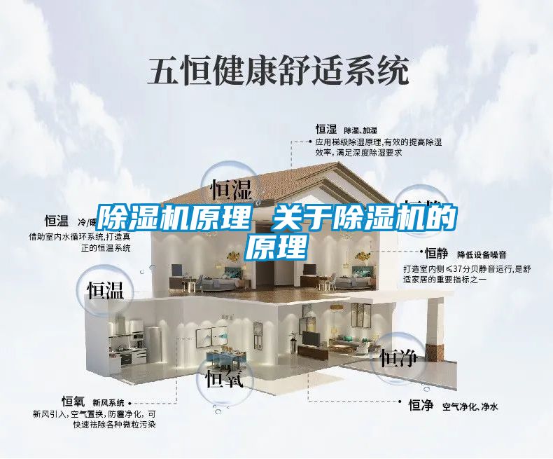 香蕉福利视频机原理 关于香蕉福利视频机的原理