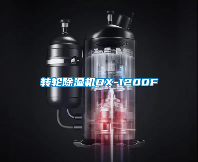 转轮香蕉福利视频机DX-1200F