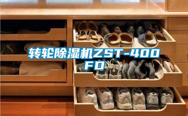 转轮香蕉福利视频机ZST-400FD