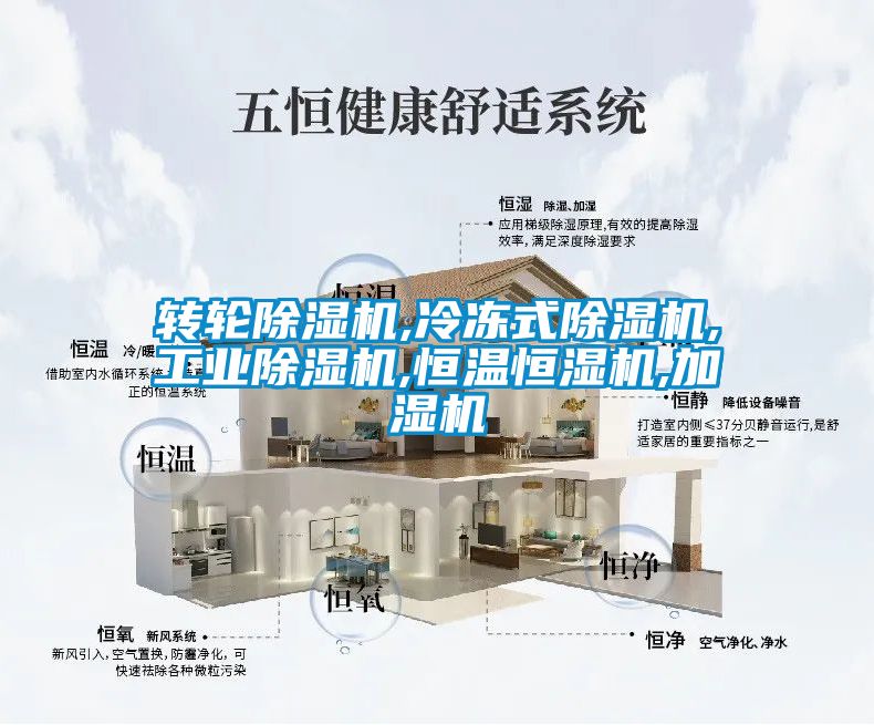 转轮香蕉福利视频机,冷冻式香蕉福利视频机,工业香蕉福利视频机,恒温恒湿机,加湿机