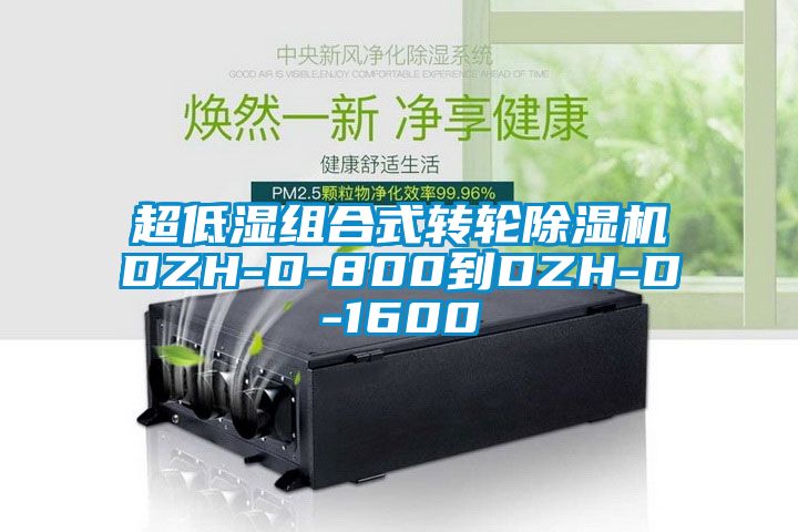 超低湿组合式转轮香蕉福利视频机DZH-D-800到DZH-D-1600