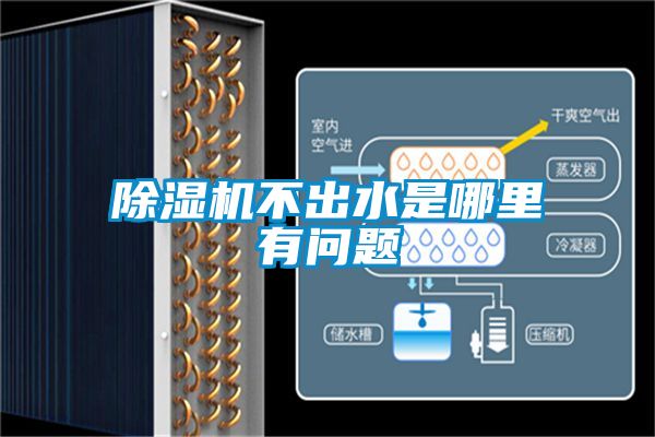 香蕉福利视频机不出水是哪里有问题