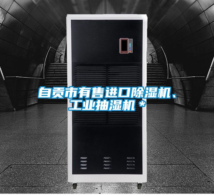 自贡市有售进口香蕉福利视频机、工业抽湿机＊