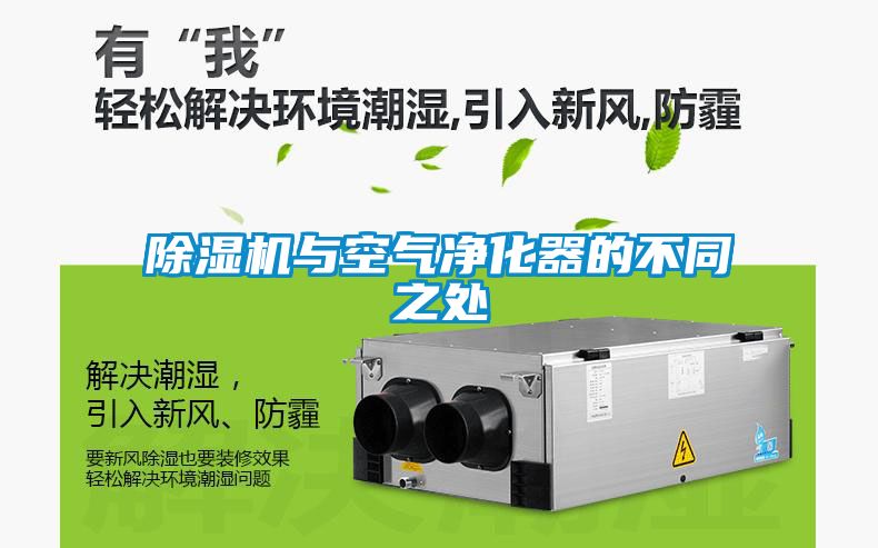 香蕉福利视频机与空气净化器的不同之处