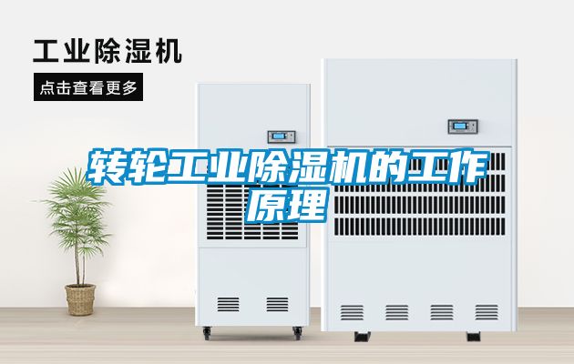 转轮工业香蕉福利视频机的工作原理