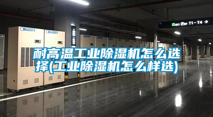 耐高温工业香蕉福利视频机怎么选择(工业香蕉福利视频机怎么样选)