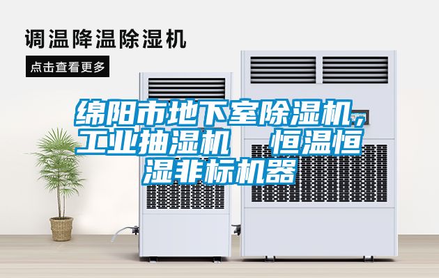 绵阳市地下室香蕉福利视频机，工业抽湿机  恒温恒湿非标机器