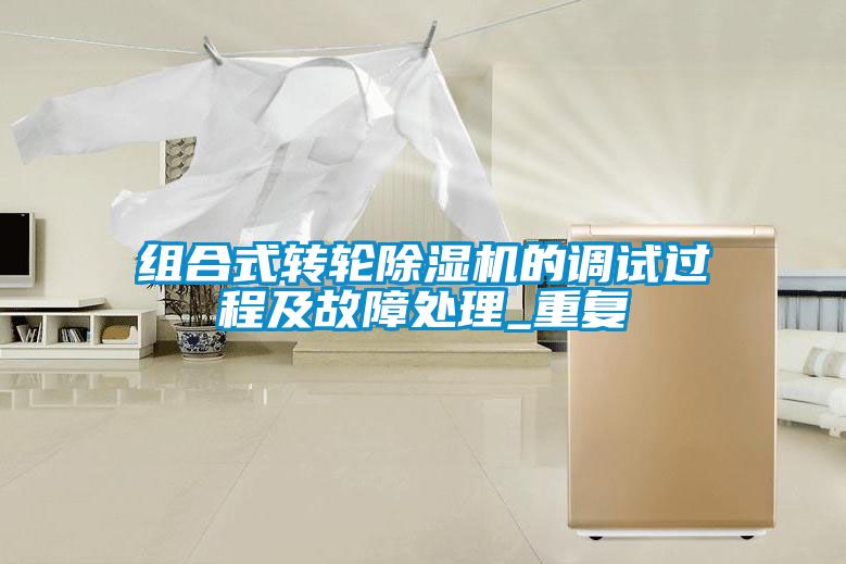 组合式转轮香蕉福利视频机的调试过程及故障处理_重复