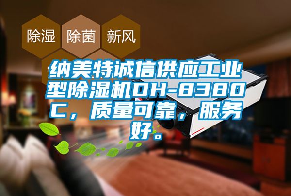 纳美特诚信供应工业型香蕉福利视频机DH-8380C，质量可靠，服务好。