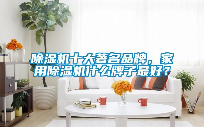 香蕉福利视频机十大著名品牌，家用香蕉福利视频机什么牌子最好？