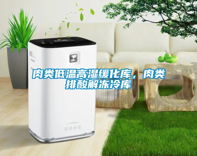 肉类低温高湿缓化库，肉类排酸解冻冷库