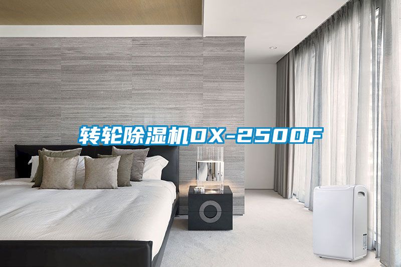 转轮香蕉福利视频机DX-2500F