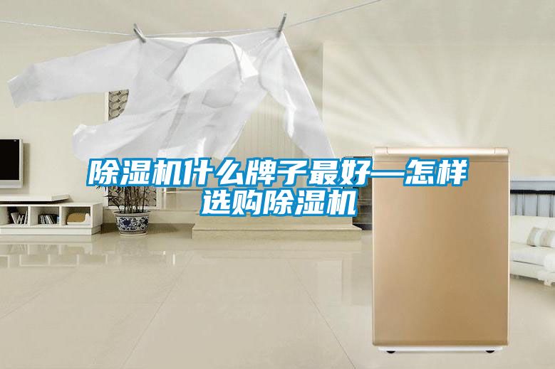 香蕉福利视频机什么牌子最好—怎样选购香蕉福利视频机