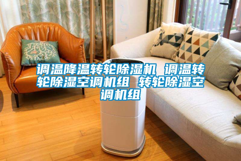 调温降温转轮香蕉福利视频机 调温转轮香蕉福利视频空调机组 转轮香蕉福利视频空调机组