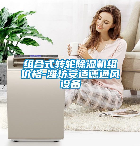 组合式转轮香蕉福利视频机组价格-潍坊安适德通风设备