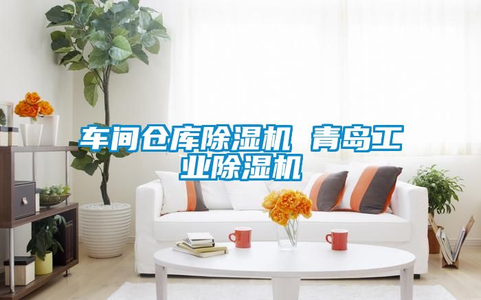 车间仓库香蕉福利视频机 青岛工业香蕉福利视频机