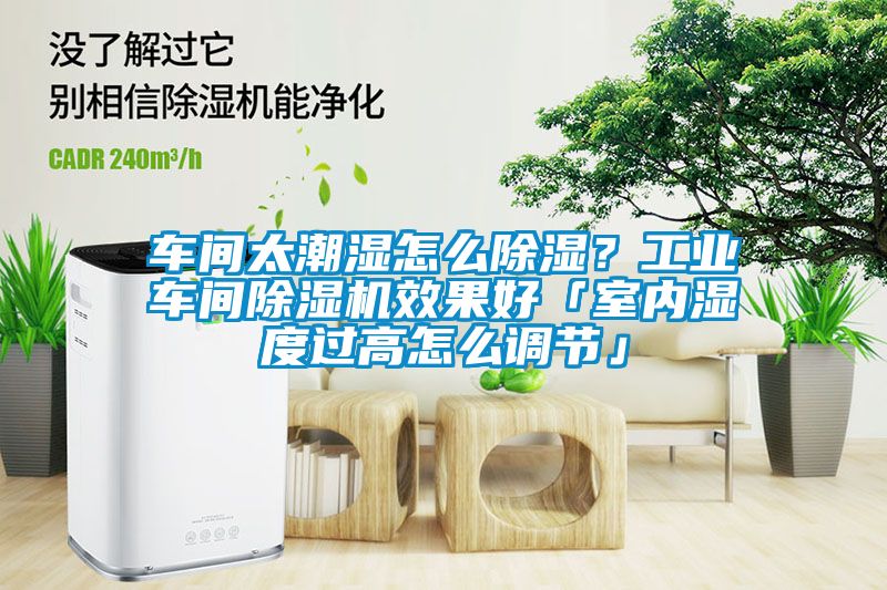 车间太潮湿怎么香蕉福利视频？工业车间香蕉福利视频机效果好「室内湿度过高怎么调节」