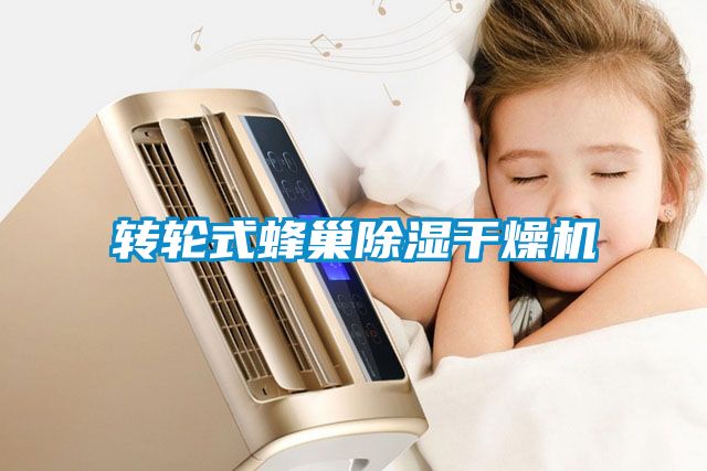 转轮式蜂巢香蕉福利视频干燥机