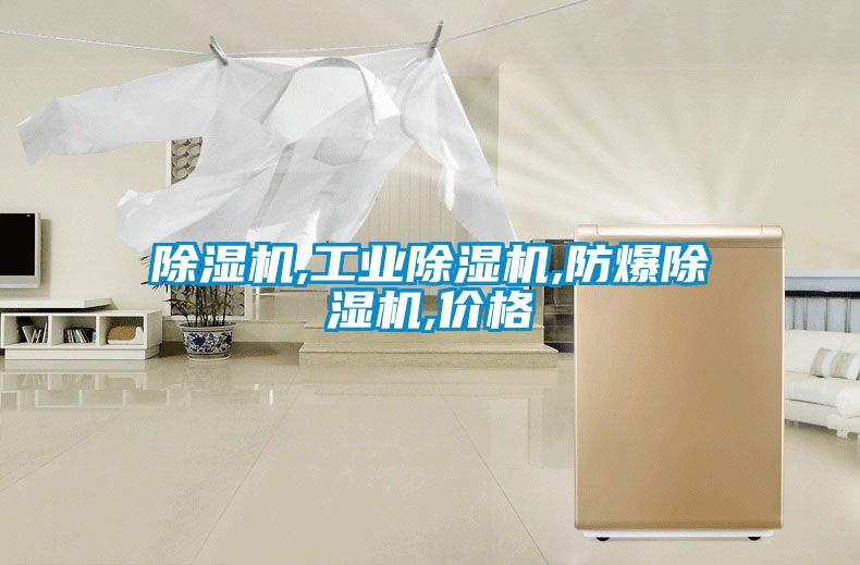 香蕉福利视频机,工业香蕉福利视频机,防爆香蕉福利视频机,价格