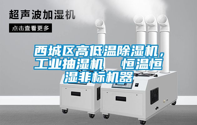 西城区高低温香蕉福利视频机，工业抽湿机  恒温恒湿非标机器