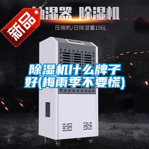 香蕉福利视频机什么牌子好(梅雨季不要慌)