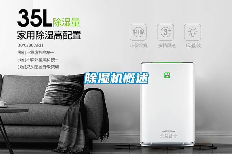 香蕉福利视频机概述