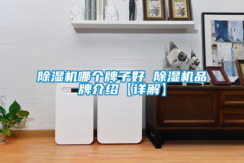 香蕉福利视频机哪个牌子好 香蕉福利视频机品牌介绍【详解】