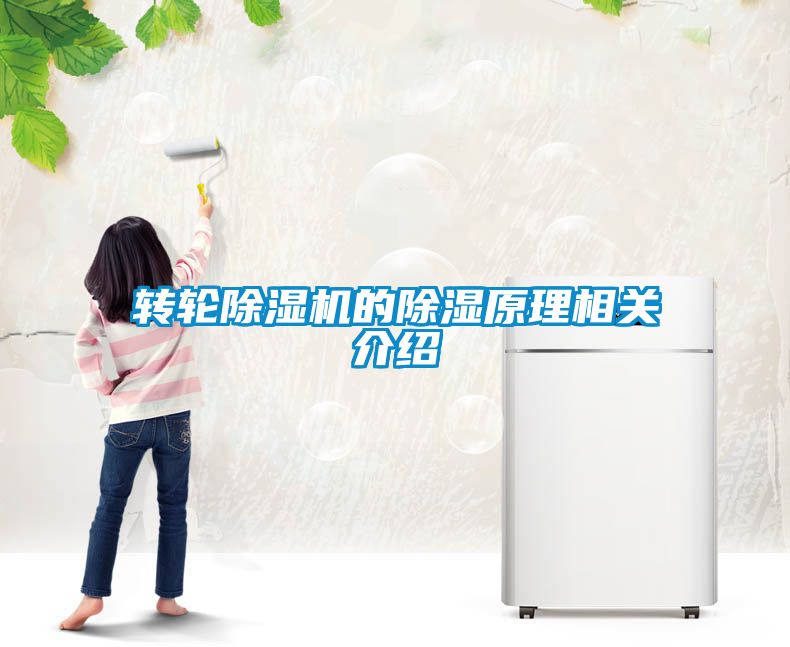 转轮香蕉福利视频机的香蕉福利视频原理相关介绍